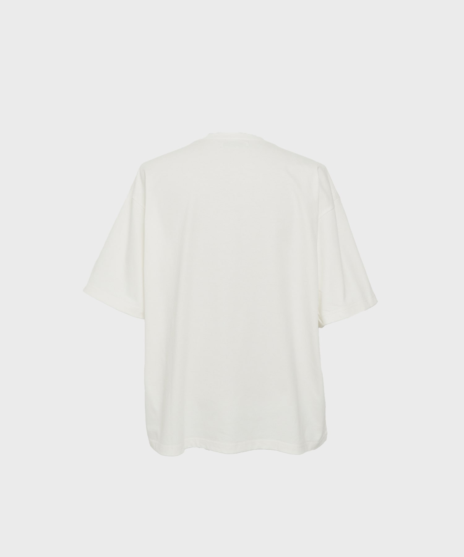 PLANET BIG PRINT TEE JieDa