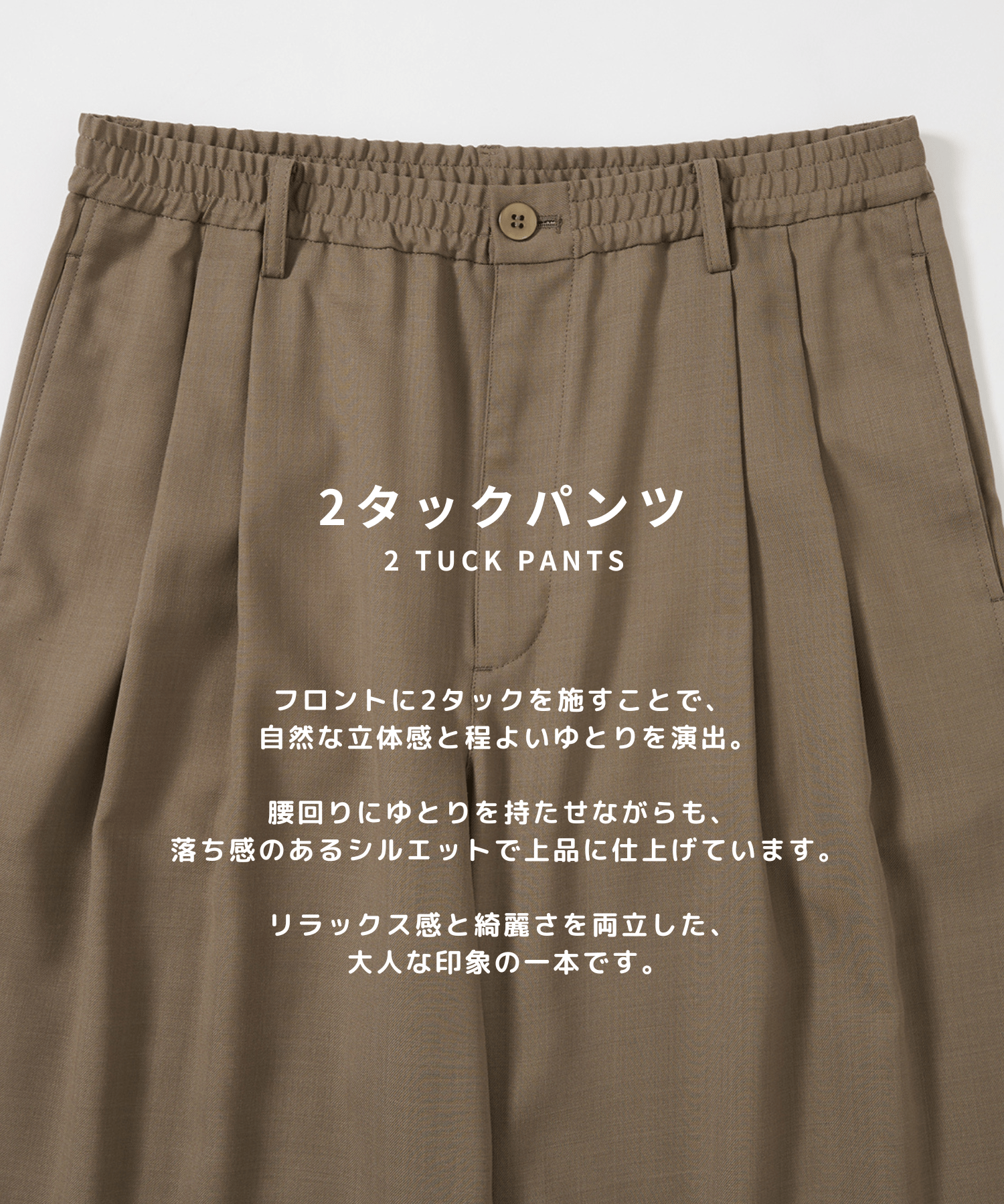 Extra Wool Easy Curve Pants STUDIOUS