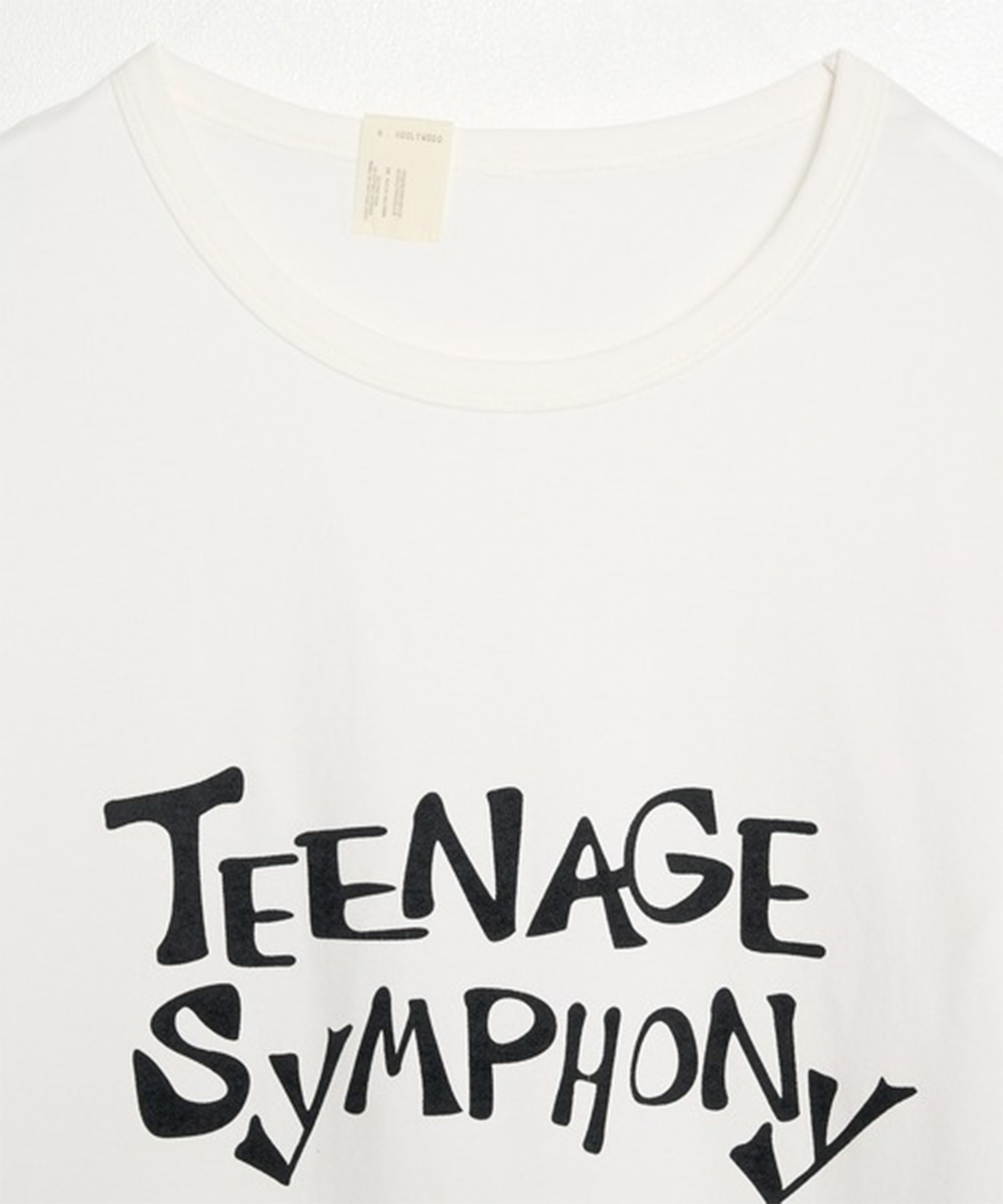 別注復刻TEENAGE SYMPHONY T-SHIRT N.HOOLYWOOD