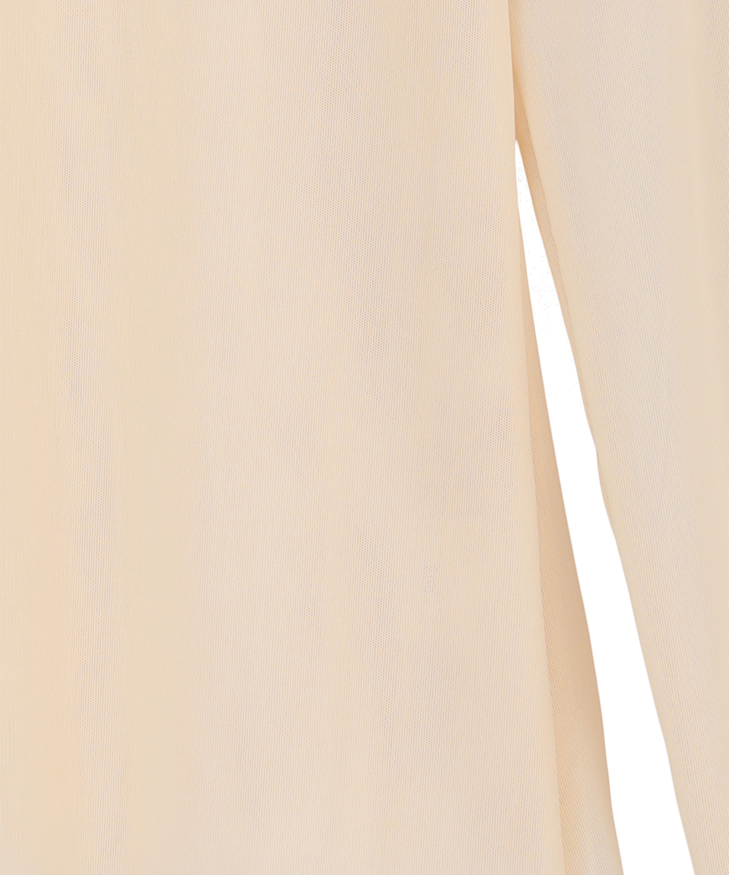 SHEER MESH CREW NECK TOPS CLANE
