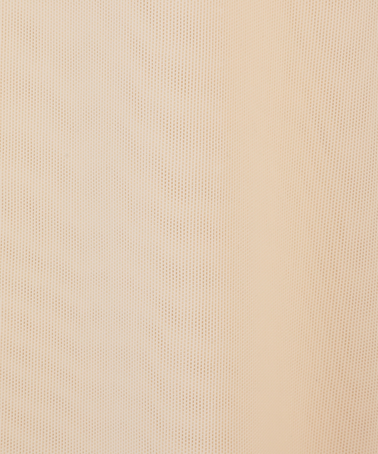 SHEER MESH CREW NECK TOPS CLANE