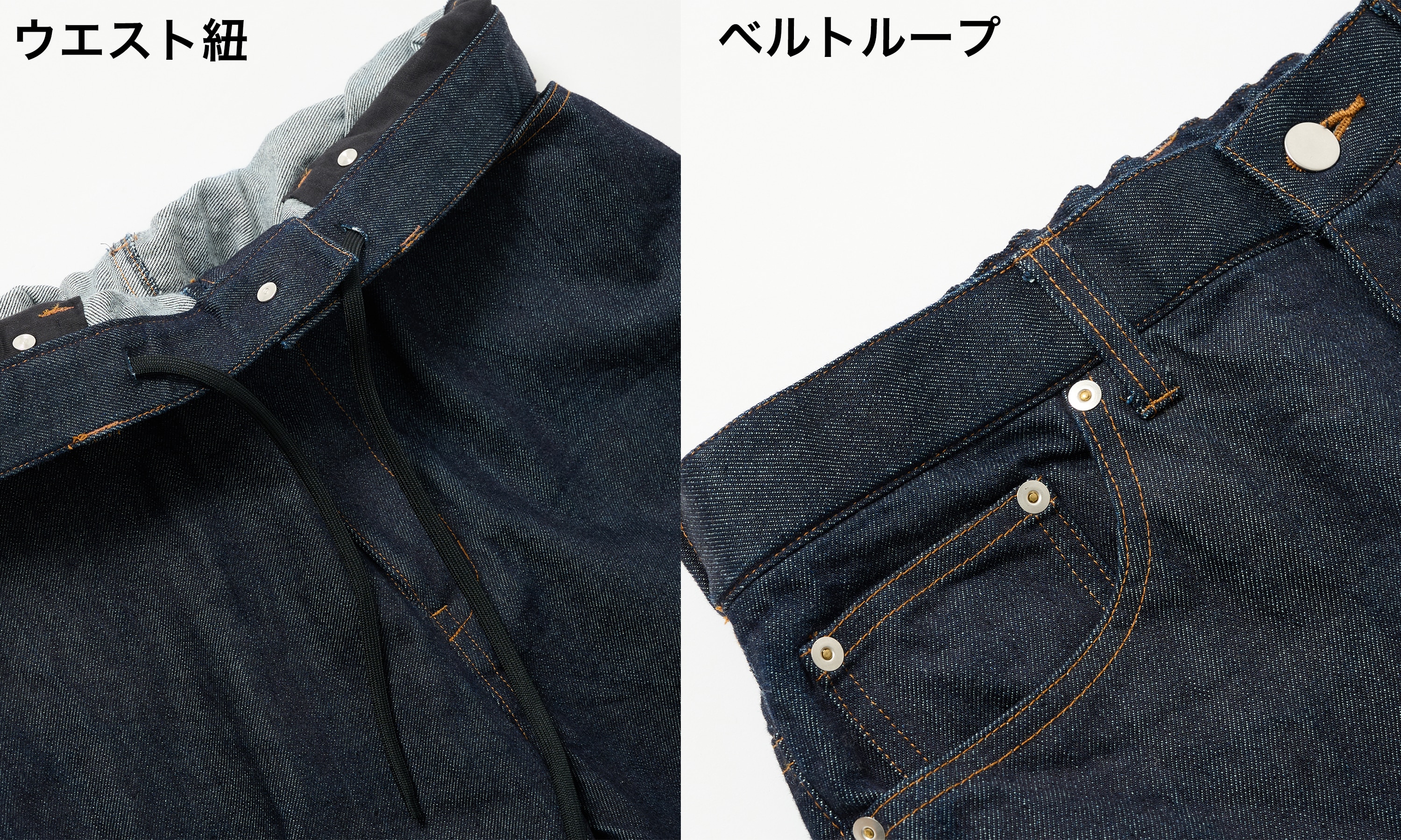 サンプル画像